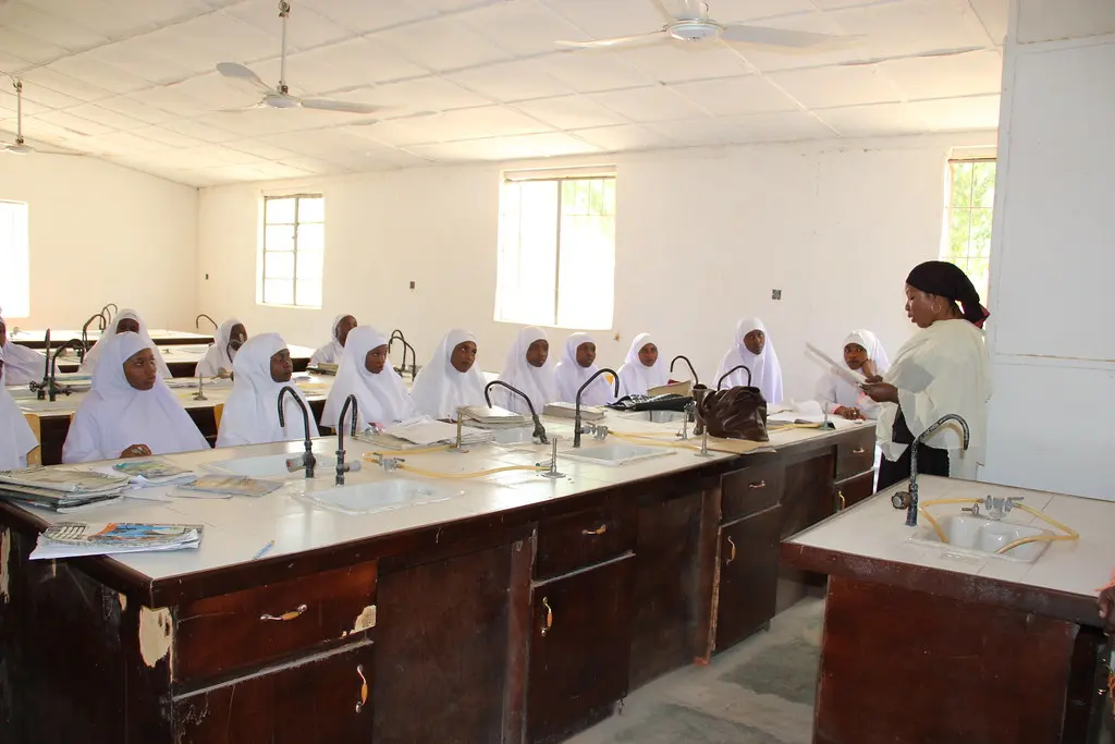 Sector educación